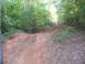 Dawson Forrest 032.jpg